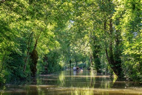 la venecia verde francia|Las Marismas del Poitou, la Venecia verde de Francia